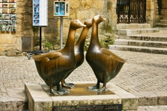 Sarlat - Gänsemarkt